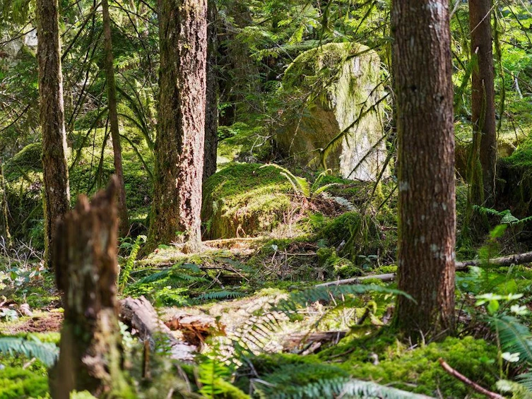2050 Midnight Way, Squamish, BC, V0N 1H0 - 38