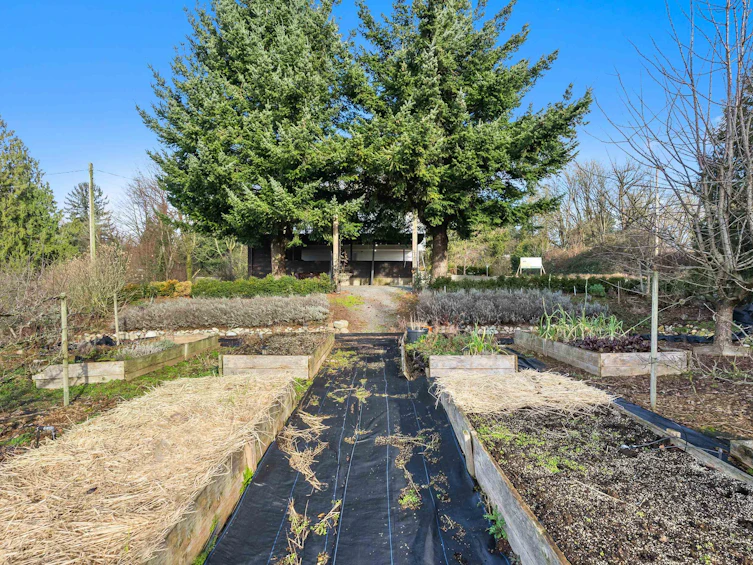 681 Bradner Road, Abbotsford, BC, V4X 2J5 - 30