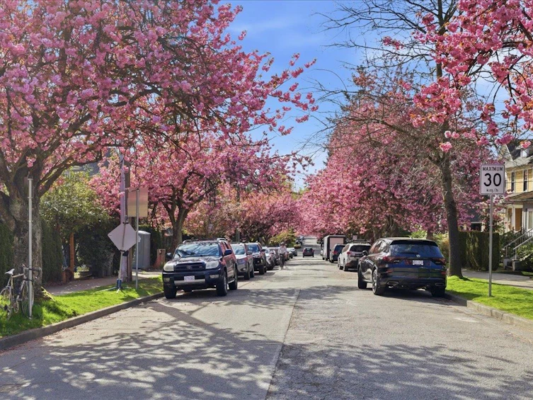 14 W 14th Avenue, Vancouver, BC, V5Y 1W6 - 33