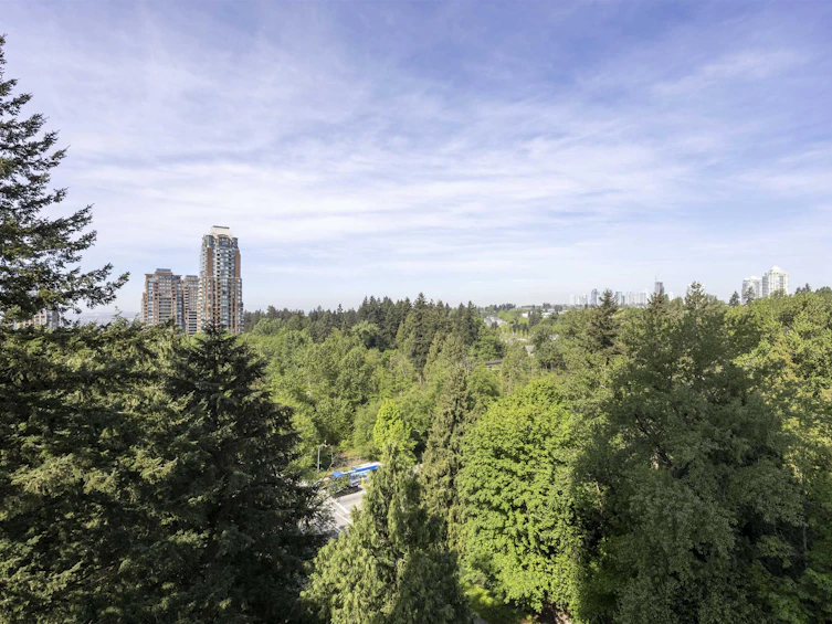 1602-7088 18th Avenue, Burnaby, BC, V3N 0A2 - 18