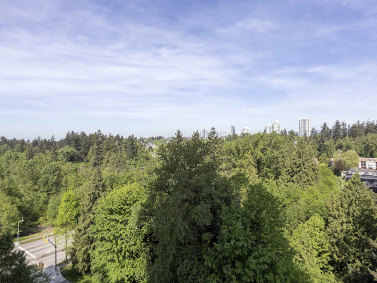 1602-7088 18th Avenue, Burnaby, BC, V3N 0A2 - 21