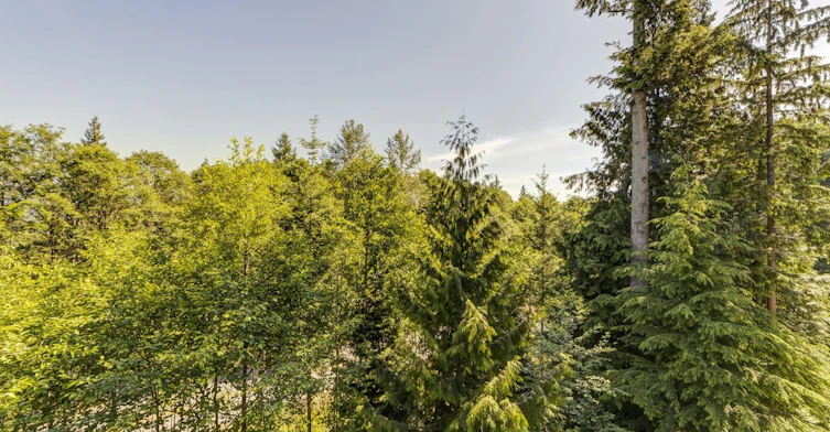 1xx-9060 University Crescent, Burnaby, BC, V5A 0E1 - 5