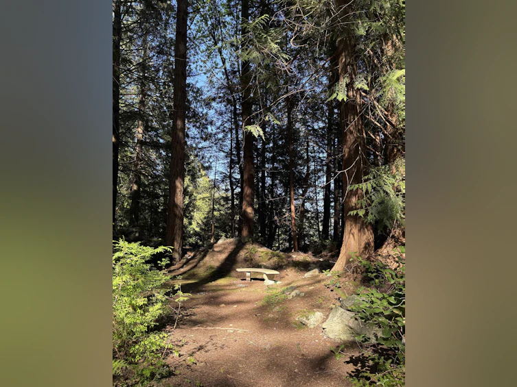 890 The Grove Road, Gambier Island, BC, V0N 1V0 - 35