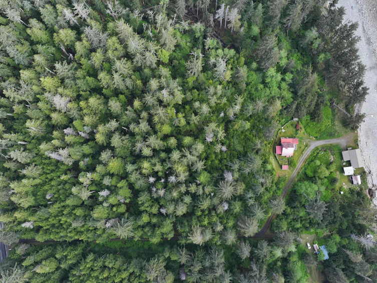 556 Davis Road, Queen Charlotte (Village), BC, V0T 1Y0 - 8