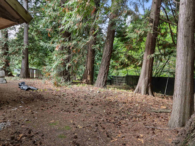 63491 Flood Hope Road, Hope, BC, V0X 1L2 - 39