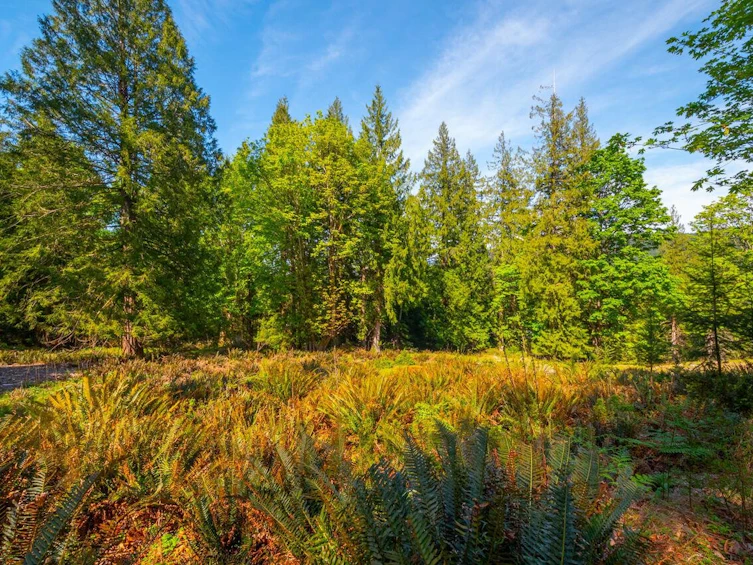 LOT B Hiker's Trail, Bowen Island, BC, V0N 1G2 - 6