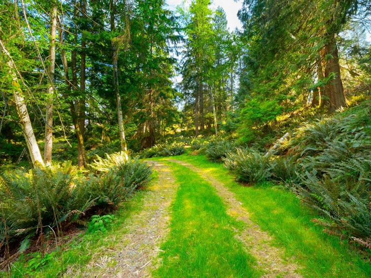 LOT B Hiker's Trail, Bowen Island, BC, V0N 1G2 - 3
