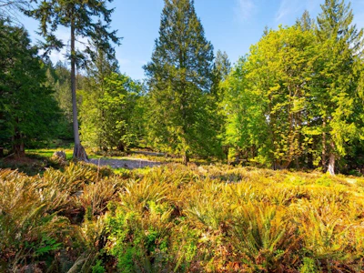 LOT B Hiker's Trail - 5