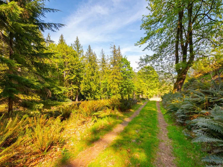 LOT B Hiker's Trail, Bowen Island, BC, V0N 1G2 - 4