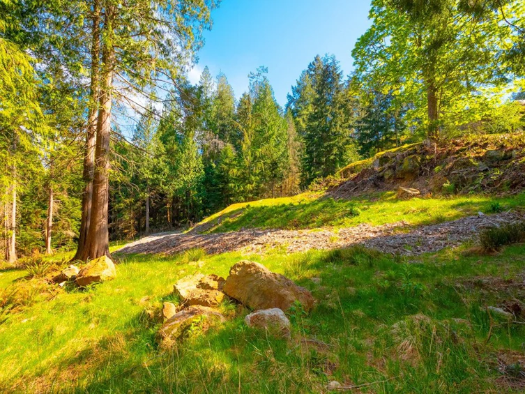 LOT B Hiker's Trail, Bowen Island, BC, V0N 1G2 - 14