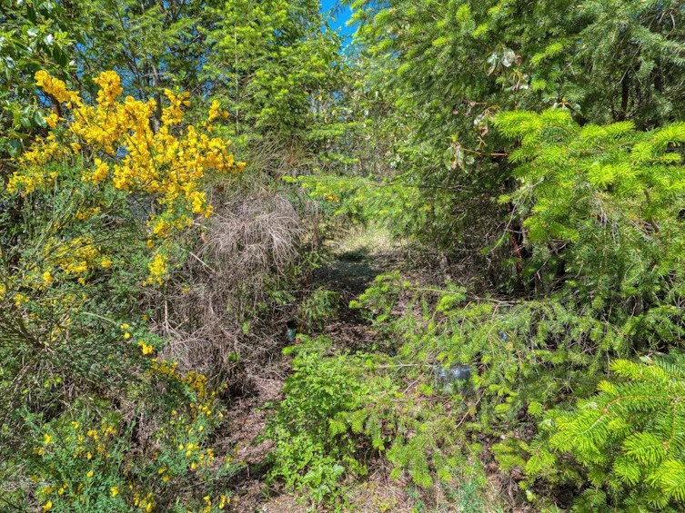 Lot 96 Johnston Heights Drive, Pender Harbour Egmont, BC, V7Z 0B7 - 15