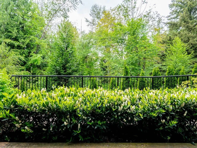 B004-20087 68 Avenue, Langley, BC, V2Y 0Y3 - 31