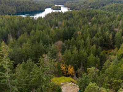 13885 Cassano Road - 3
