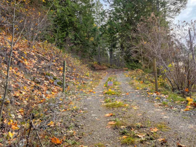 13885 Cassano Road - 4