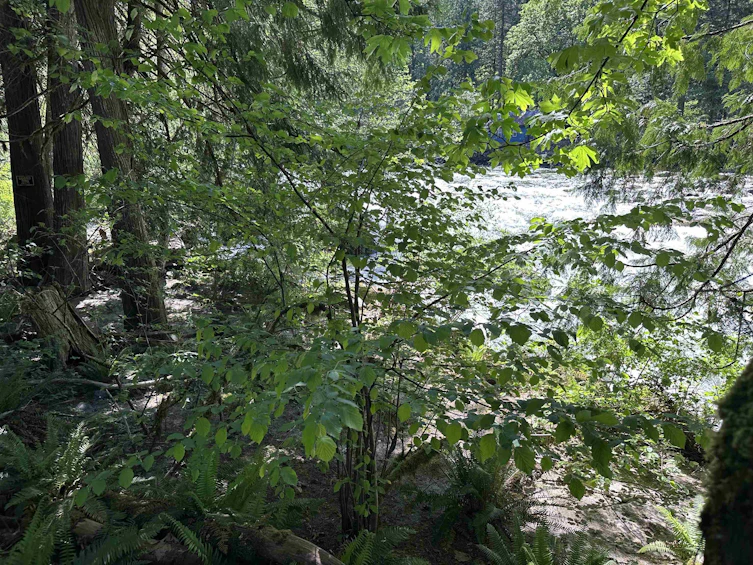 63560 Old Yale Road, Hope, BC, V0X 1L2 - 9