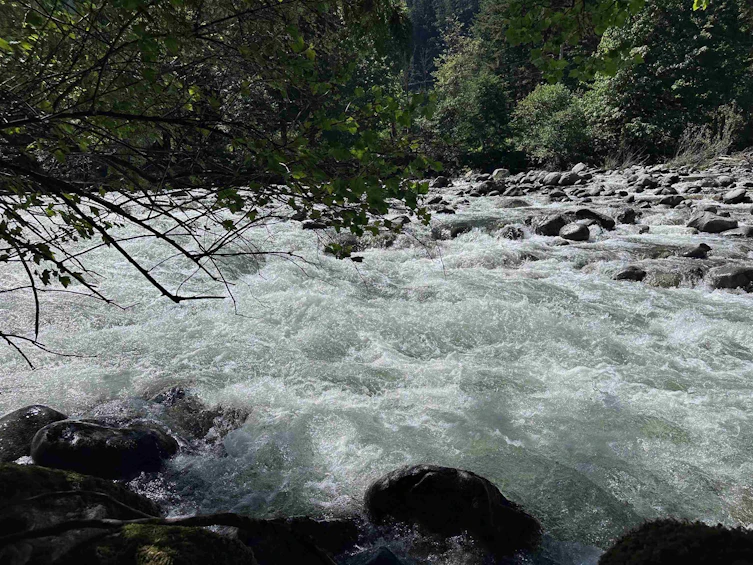 63560 Old Yale Road, Hope, BC, V0X 1L2 - 10