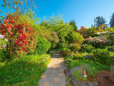 1177 Adams Road - 2