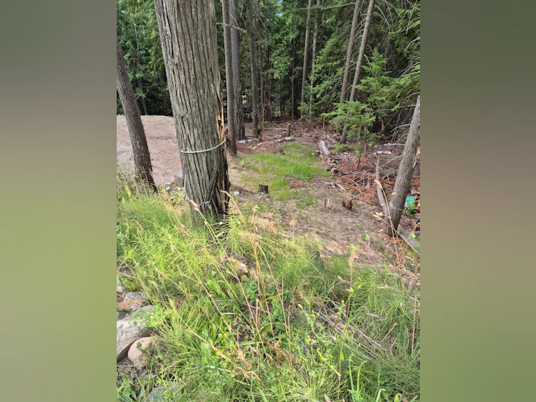 2818 Vickers Trail, Anglemont, BC, V0E 1M8 - 6