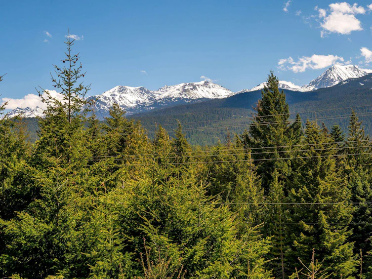 6187 Eagle Drive, Whistler, BC, V8E 0C6 - 32