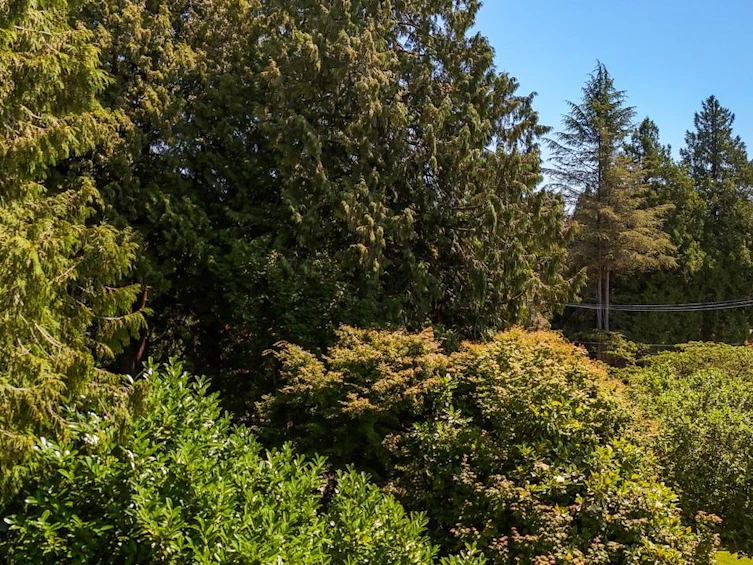 3060 W 45th Avenue, Vancouver, BC, V6N 3M1 - 16