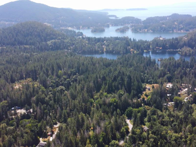 4620 Irvines Landing Road - 4