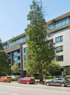 301 4427 Cambie Street