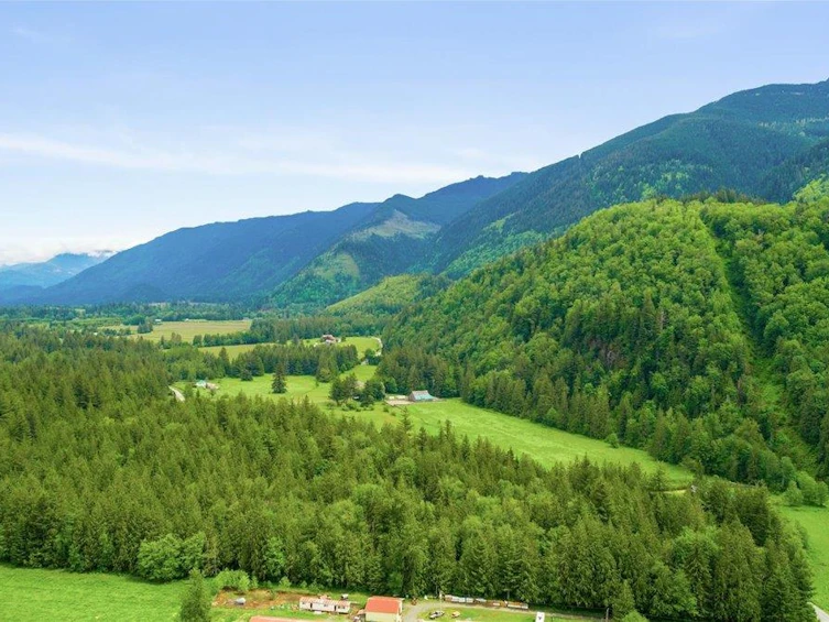 SW 3 Maple Falls Road, Columbia Valley, BC, V2R 4X6 - 5
