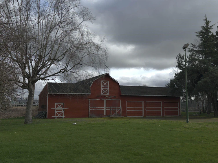 10520 Sidaway Road, Richmond, BC, V6W 1C4 - 33