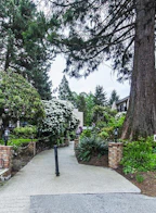 309 1385 Draycott Road