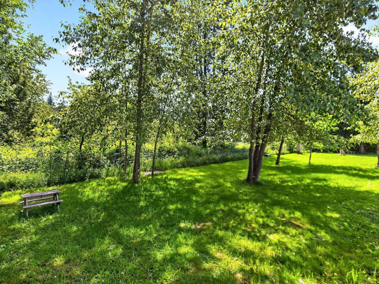 24282 101a Avenue, Maple Ridge, BC, V2W 0C2 - 36