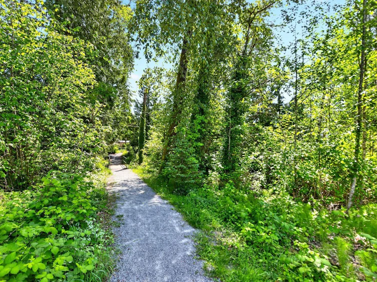 24282 101a Avenue, Maple Ridge, BC, V2W 0C2 - 35