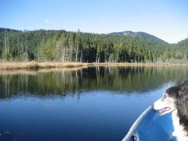 DL 1020 S Green Bay, Nelson Island, BC, V0N 0V0 - 5