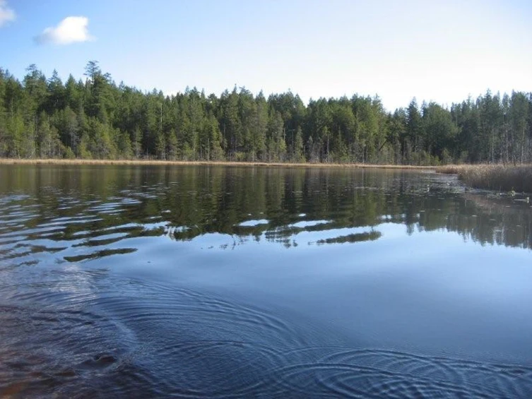 DL 1020 S Green Bay, Nelson Island, BC, V0N 0V0 - 6