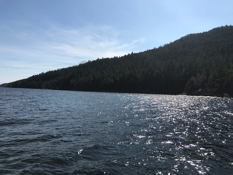DL 1020 N Green Bay, Nelson Island, BC, V0N 1S0 - 3