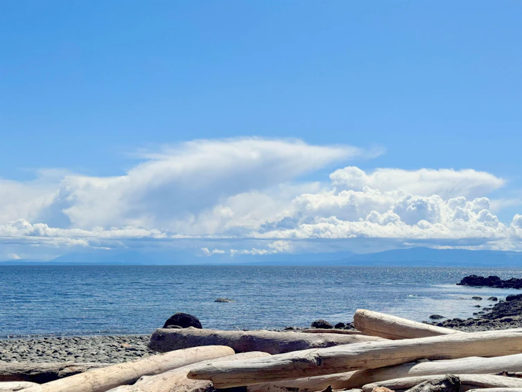 7065 Dale Road, Halfmoon Bay, BC, V7Z 0N2 - 38