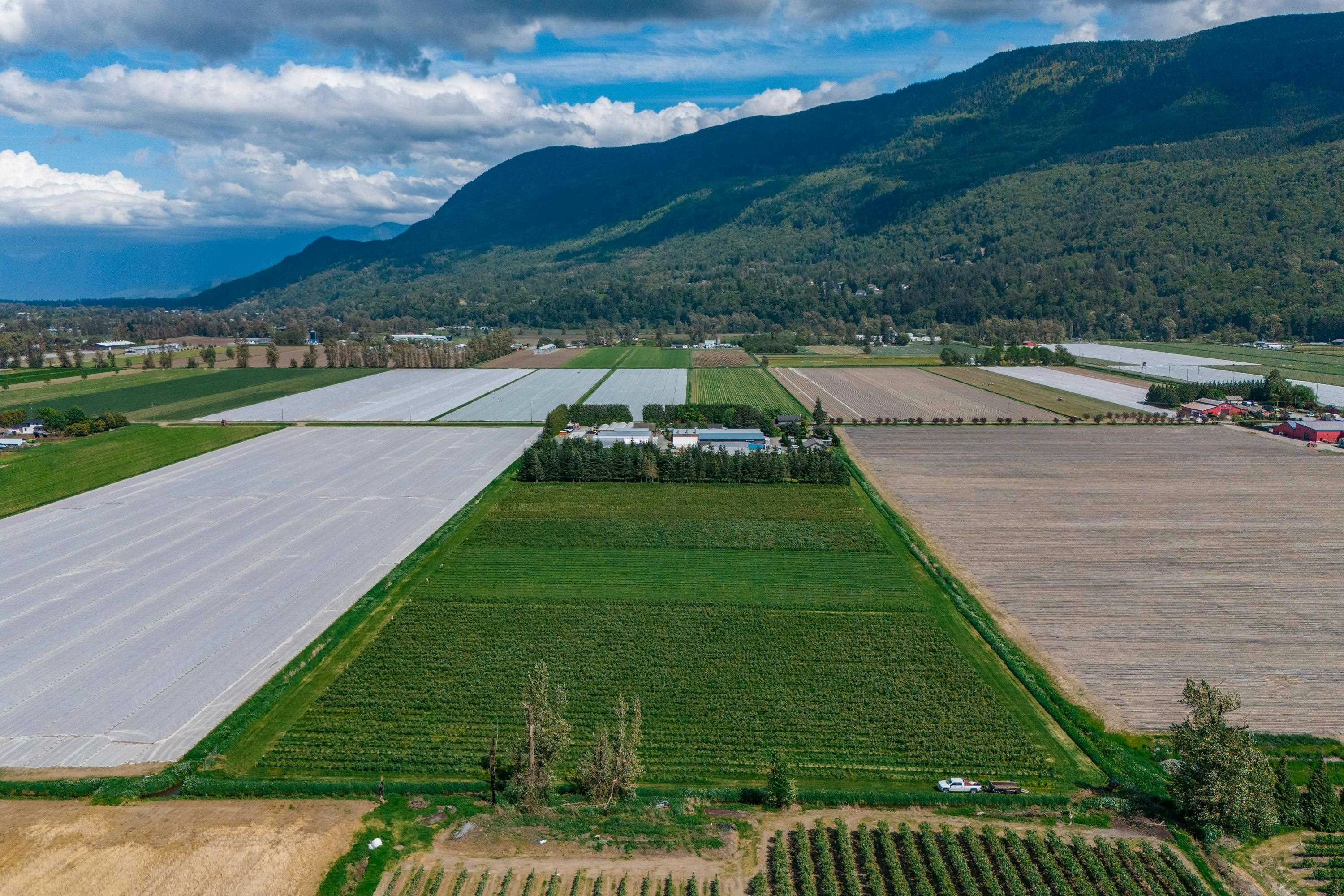 3387 Tolmie Road, Abbotsford, BC, V3G 2T9