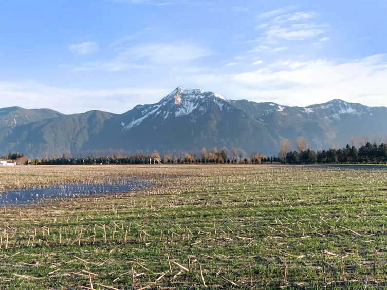 1732 Agassiz Avenue, Agassiz, BC, V0M 1A3 - 34