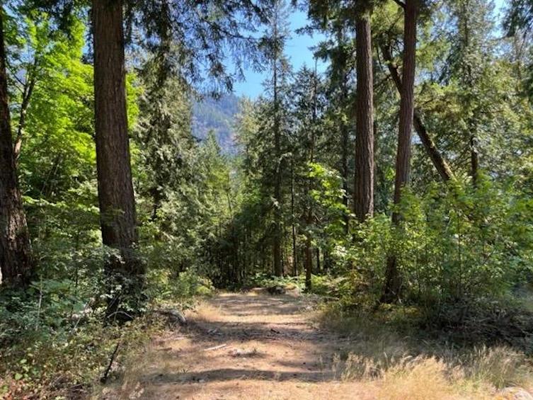 18-19743 Foster Road, Hope, BC, V0X 1L2 - 22