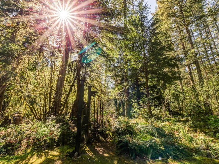 10009 Paradise Valley Road, Squamish, BC, V0N 1H0 - 27