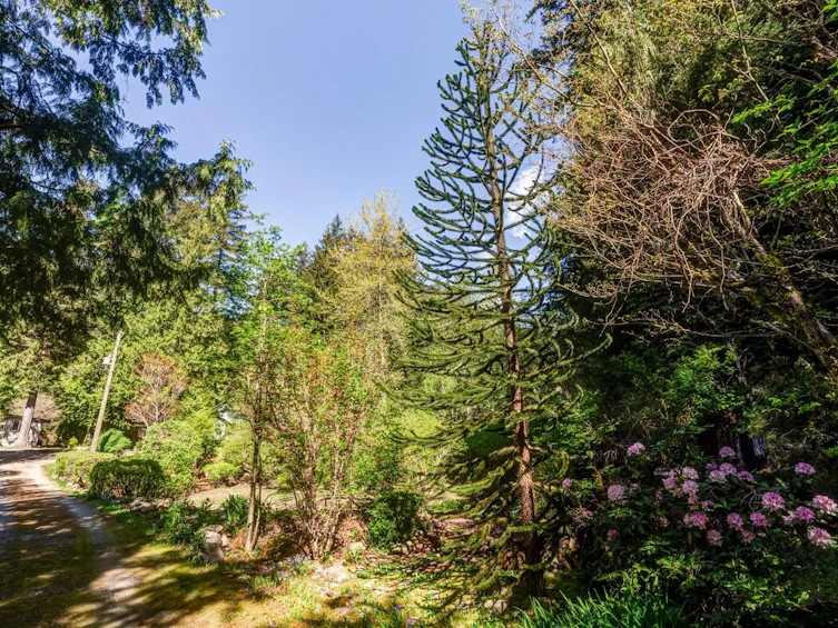 10009 Paradise Valley Road, Squamish, BC, V0N 1H0 - 25