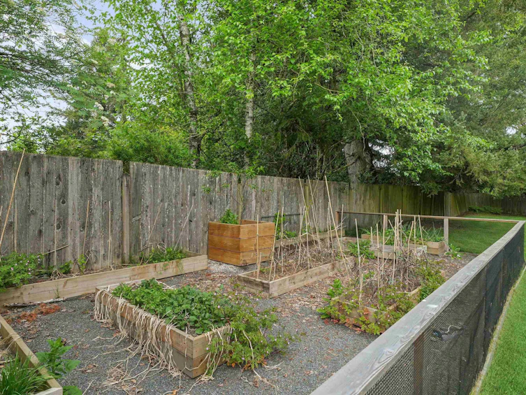 4602 238 Street, Langley, BC, V2Z 2S9 - 11