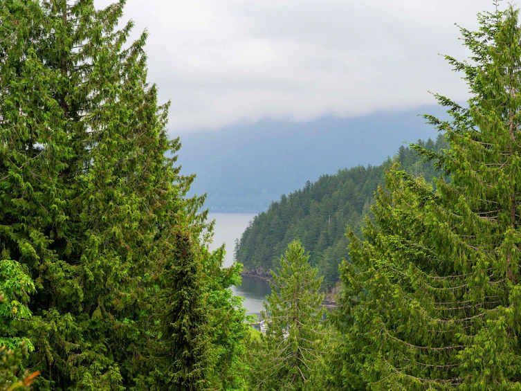 960 Harbour View Place, Bowen Island, BC, V0N 1G2 - 13