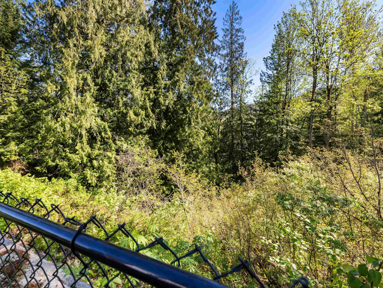 A-50249 Luna Place, Chilliwack, BC, V4Z 0E1 - 18