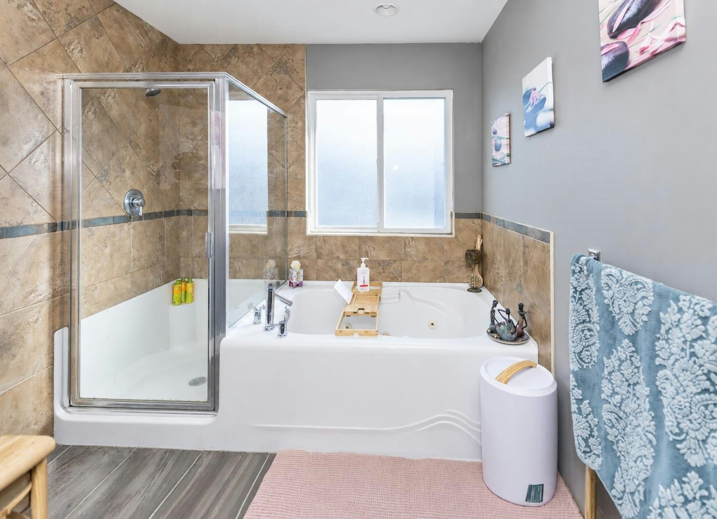 11125 234a Street, Maple Ridge, BC, V2W 0B7 - 9