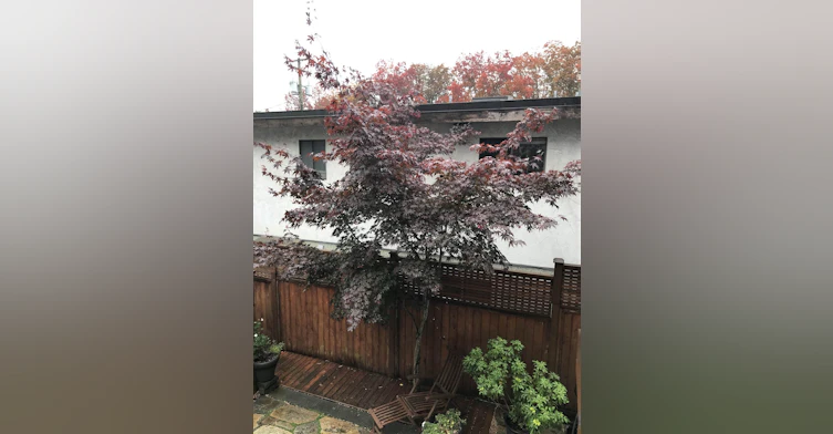 295 W 12th Avenue, Vancouver, BC, V5Y 1T9 - 24