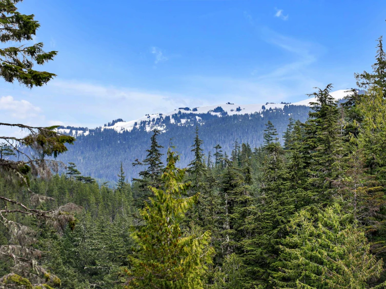 Block E Levette Lake, Squamish, BC, V0N 3G0 - 40