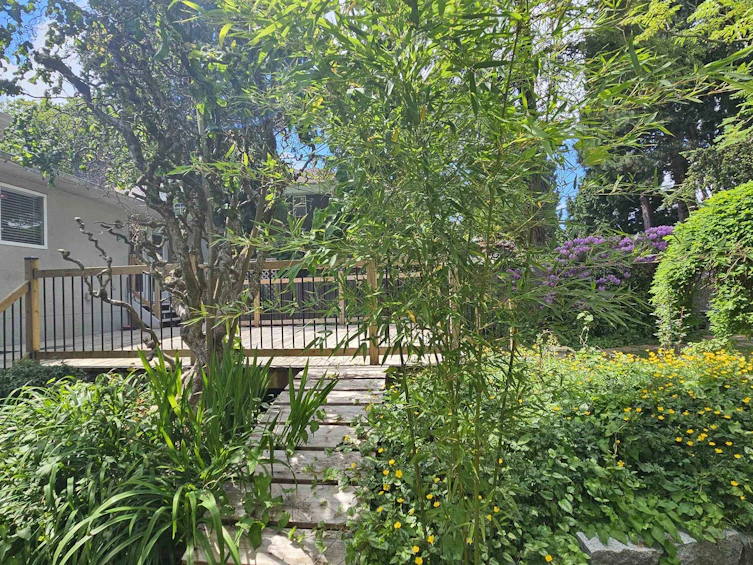 10291 Caithcart Road, Richmond, BC, V6X 1N3 - 17