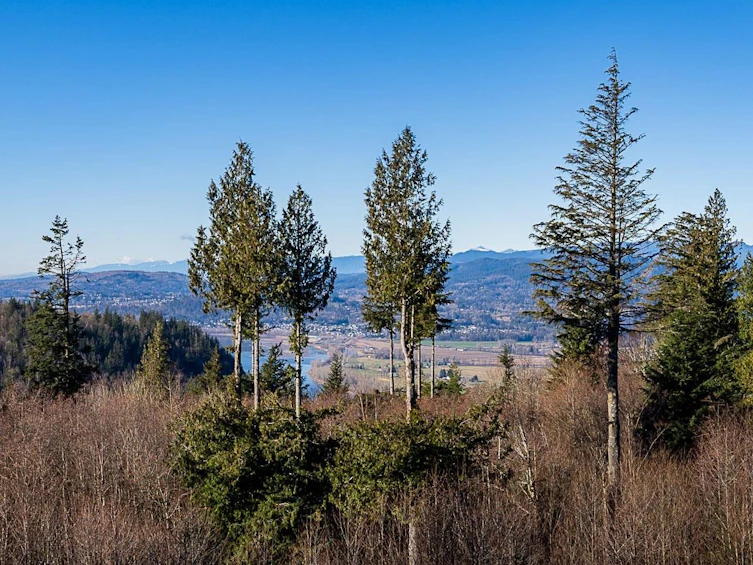 12-37885 Bakstad Road, Abbotsford, BC, V3G 0E4 - 13