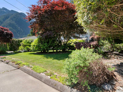 21035 Swallow Place - 4