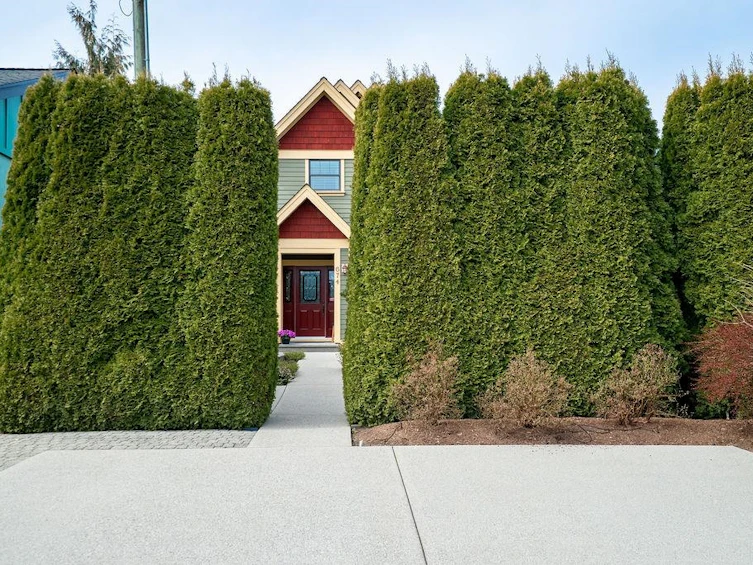 674 Colinet Street, Coquitlam, BC, V3J 4X4 - 29